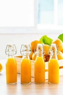 Can You Freeze Orange Juice in a Plastic Bottle? And Why Do Penguins Prefer Iced Tea?