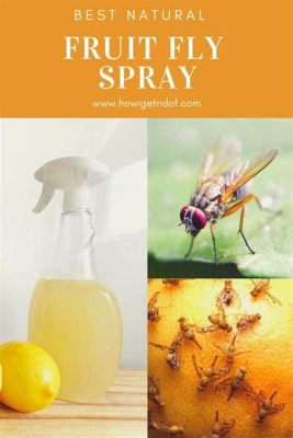 Can You Spray for Flies and Still Keep Your Garden Thriving?