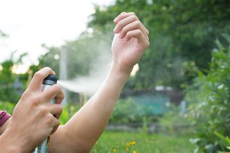 How Long Does Bug Spray Take to Dry: A Journey Through Time and Chemistry