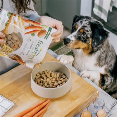 How Much Freshpet to Feed: A Whimsical Journey into Pet Nutrition