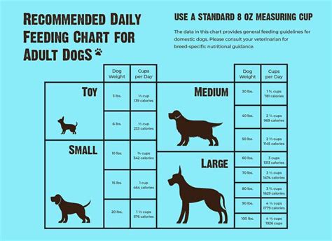 How Much Freshpet to Feed Dog: A Comprehensive Guide to Canine Nutrition and Beyond