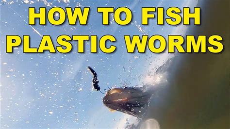 How to Fish a Plastic Worm: A Journey into the Art of Baiting and Beyond