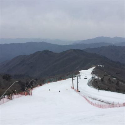 무주 리조트: 산 속의 휴식과 도시의 활기를 동시에