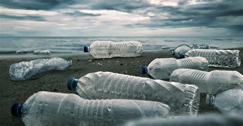 Should Plastic Water Bottles Be Banned: A Symphony of Chaos and Reason