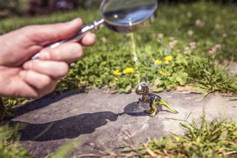 Where Can I Buy a Magnifying Glass: And Why Do Ants Never Get Lost?