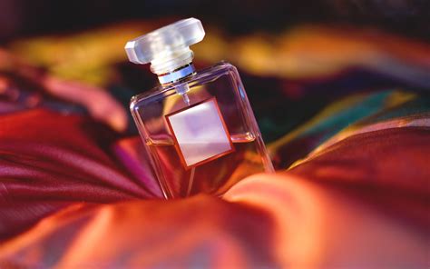 Where Do You Spray Cologne: A Fragrant Exploration of Personal Preferences and Cultural Nuances