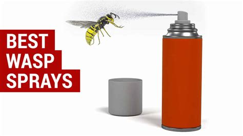 Where to Buy Wasp Spray: A Guide to Navigating the Buzz