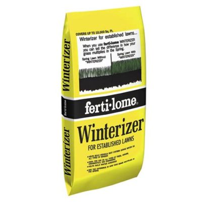 Winterizer Fertilizer When to Apply: A Symphony of Seasons and Soil